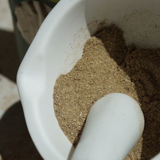 Hildegard Pelargonie Sinnbild 2